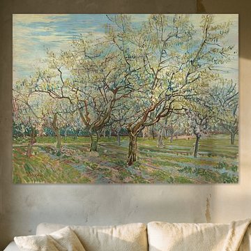 White Orchid - Vincent van Gogh 