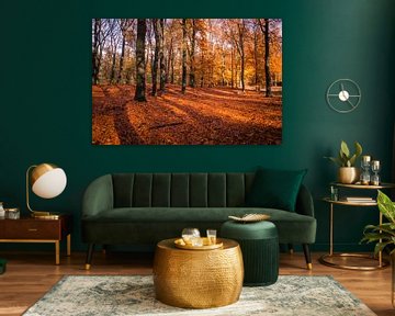 Bos in herfstkleuren van Marcel Pietersen