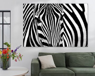 Zebra von Erik de Klerck