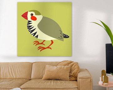 Zebra finch