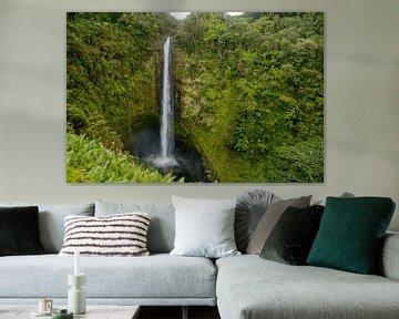 Akaka Falls - Jurassic Parc - Wasserfall von Ellis Peeters