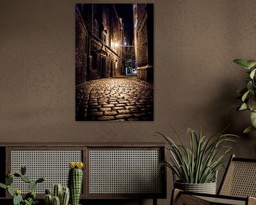 The streets of Gdansk by Ellis Peeters