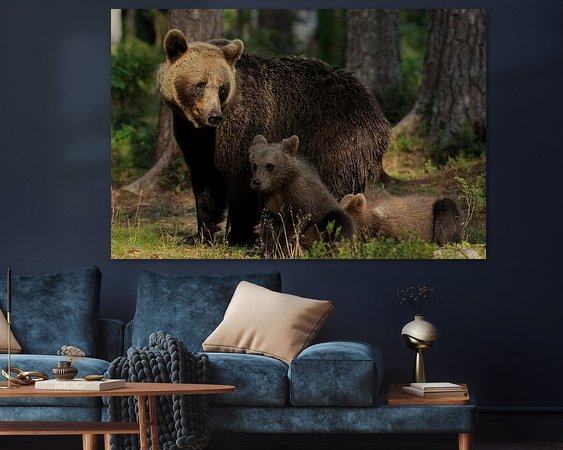 Aperçu de la chambre