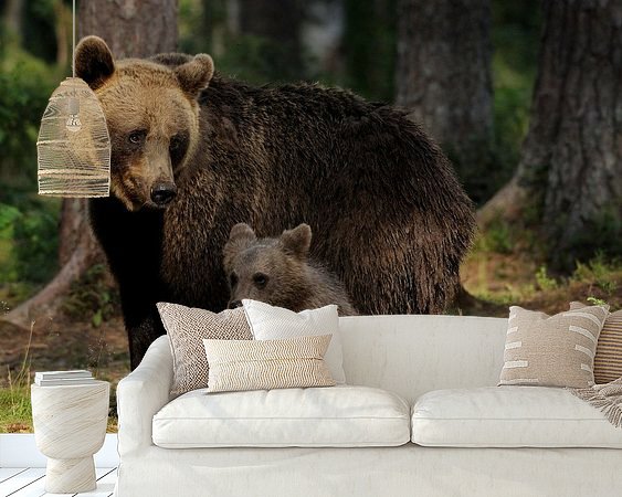 Aperçu de la chambre