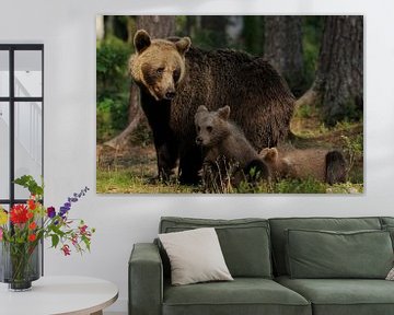 Mother bear with cubs sur Tariq La Brijn