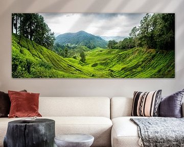 Theeplantage Cameron Highlands - Maleisië van Ellis Peeters