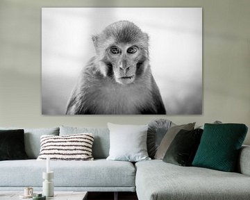 Portrait of a monkey by Ellis Peeters