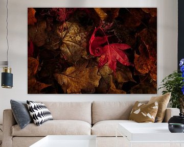 Stilleben mit Herbstblättern (Herbstfarben)
