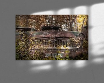 Car in the woods van Olivier Photography