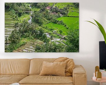 Ricefields on Bali by Martijn Stoppels