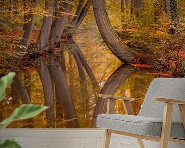 Autumn reflections van Mario Visser
