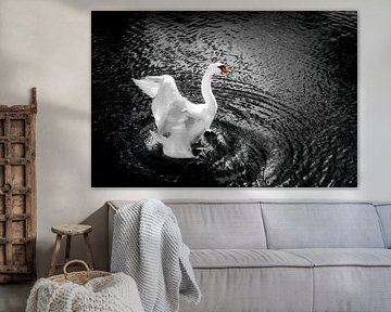 Gelukkige zwaan by Jan van der Knaap