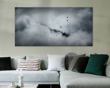 Drie buizerds in de wolken von Nando Harmsen