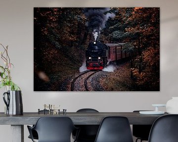 Le chemin de fer à voie étroite du Harz en automne sur Oliver Henze
