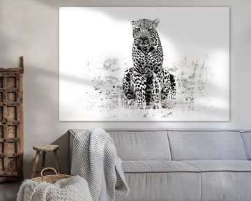 leopard by Ries IJsseldijk