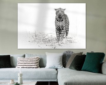 luipaard van Ries IJsseldijk