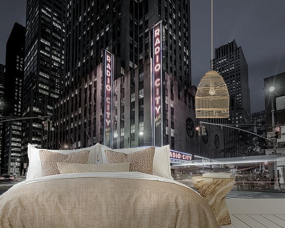 Aperçu de la chambre