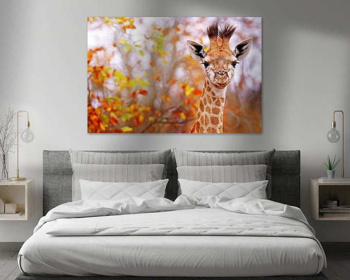 Beispiel: Junge Giraffe in buntem Laub, Südafrika von W. Woyke