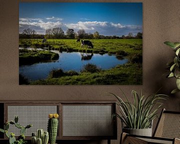 landschapfoto 