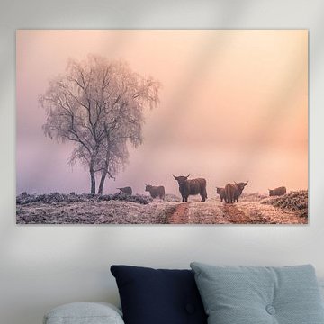 Winter in the Veluwe by Niels Barto