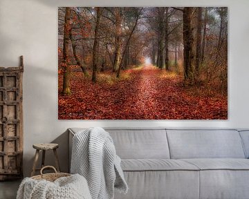 Herfstwandeling in de mist.