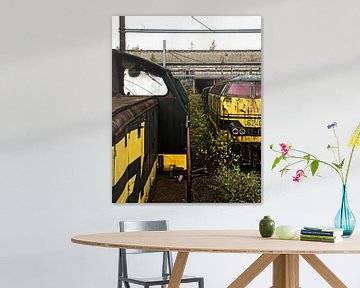 Trains von Erik Bravenboer