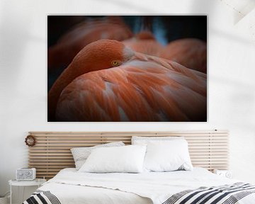 Flamingo  sur Tessa Mulder