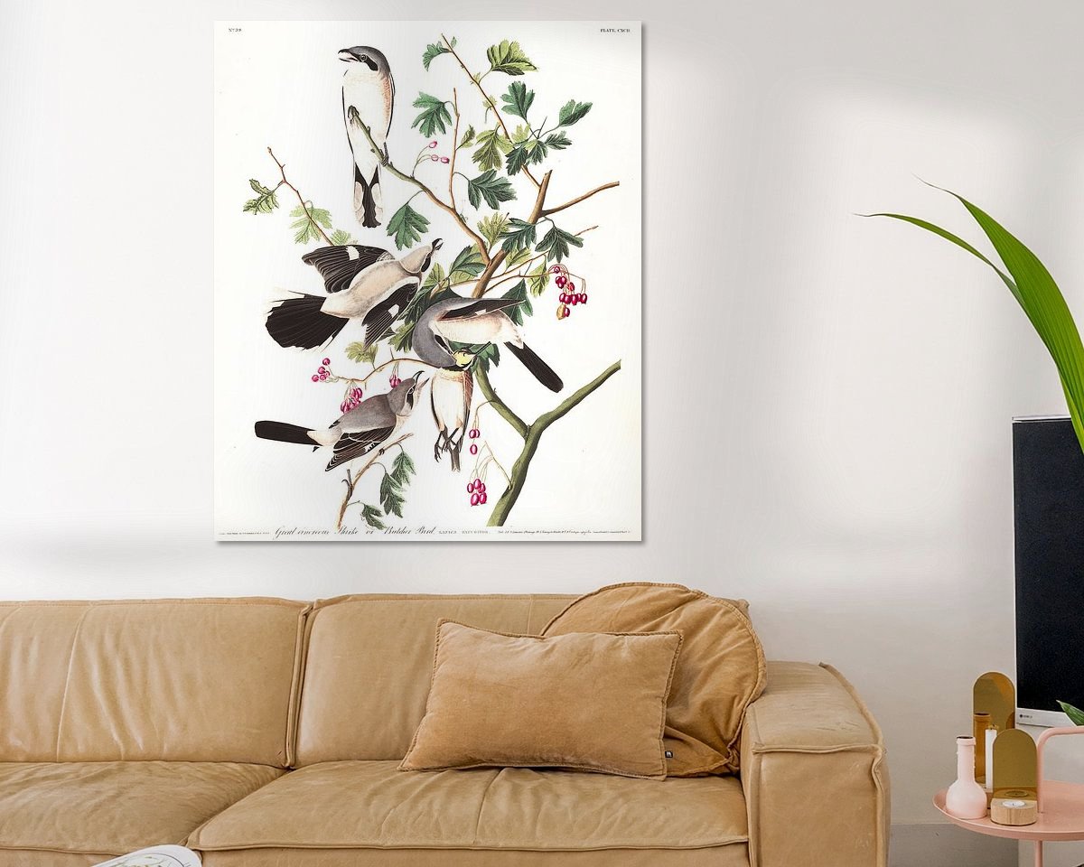 Raumvorschau