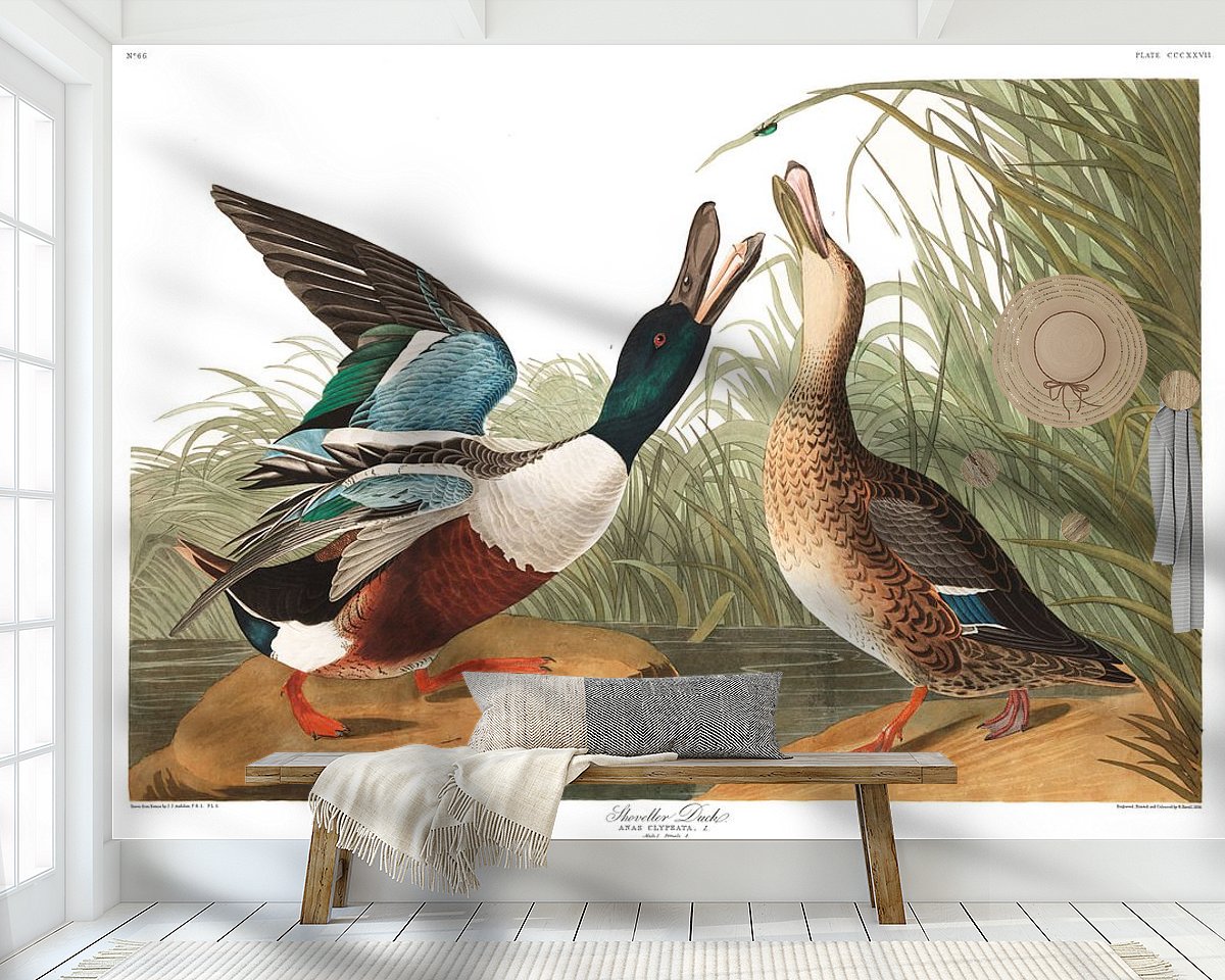 Raumvorschau