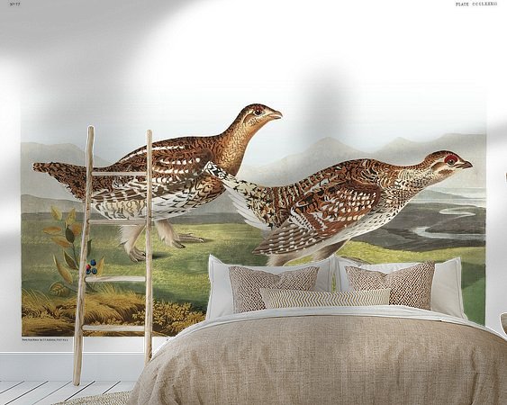 Aperçu de la chambre