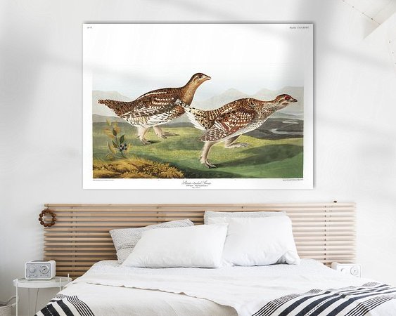 Aperçu de la chambre