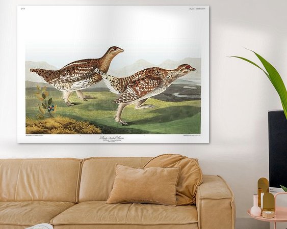 Aperçu de la chambre