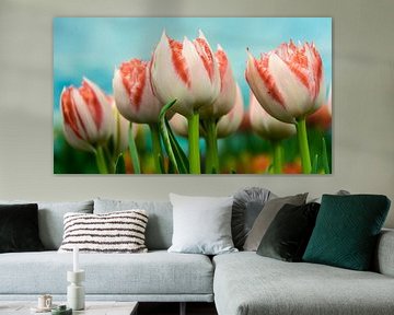 Tulips van Patrick Vischschraper