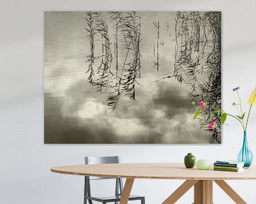 Reflecties van riet en wolken in een stil meertje van Anneriek de Jong
