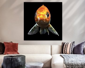 Blub, ik ben een vis van Art by Jeronimo