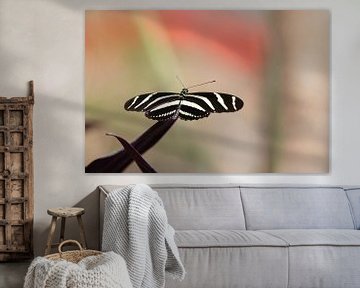 Zwart & Wit vlinder van Thijs van den Broek