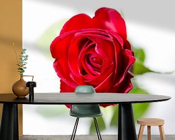 Red Rose by Leon Weggelaar