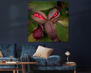 Geile blik by Jan van der Knaap