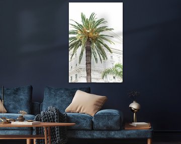 Palmboom in Nice van Lisenka l' Ami Fotografie