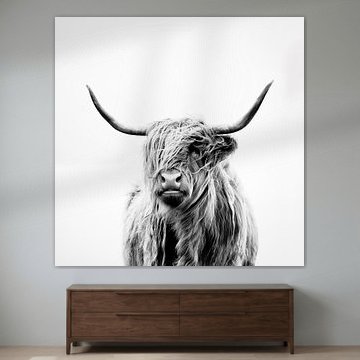 portrait of a highland cow sur Dorit Fuhg