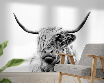 portrait of a highland cow by Dorit Fuhg