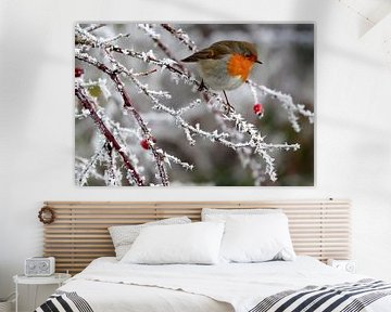 robin winter  by Niels  de Vries