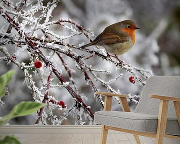 robin winter by Niels  de Vries