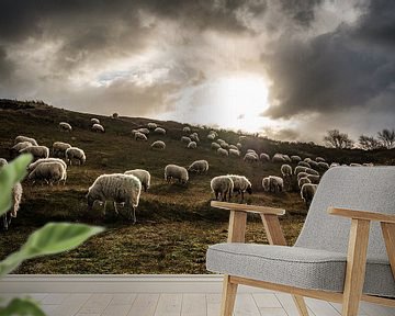 Grazende schapen met tegenlicht in de Katwijkse duinen van MICHEL WETTSTEIN