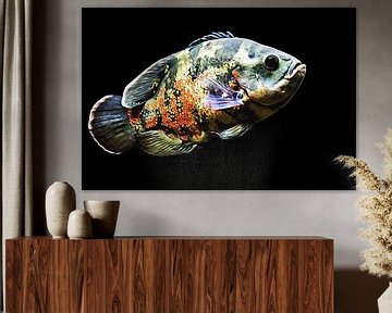 Mooi gekleurde vis  van Art by Jeronimo