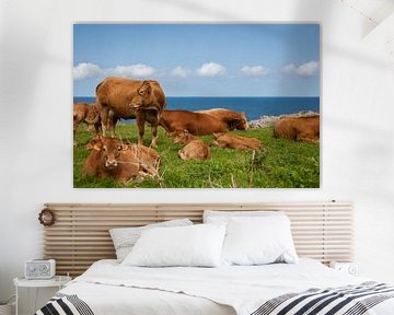 Koeien in een veld bij de zee van Evelien Buynsters