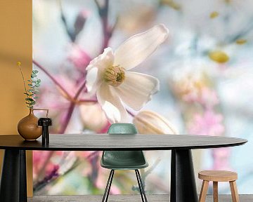 Spring blossom by Corinne Welp