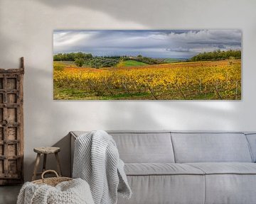 Autumn vineyard in Tuscany - panorama