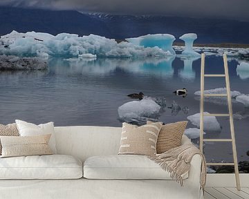 Jokulsarlon; Gletsjermeer in het zuiden van IJsland