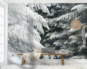 A winter scene. Dwingelderveld, Drenthe. by Ton Drijfhamer